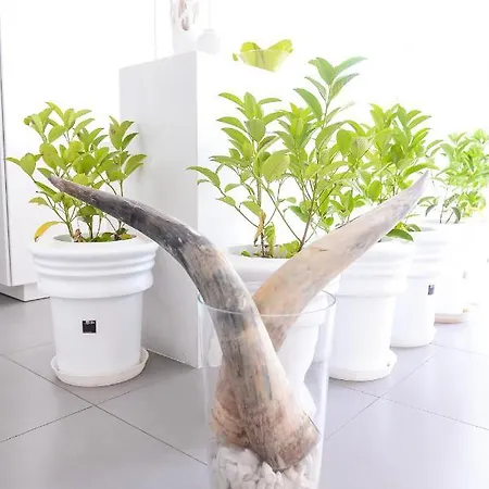 The Silk 4* Paralía