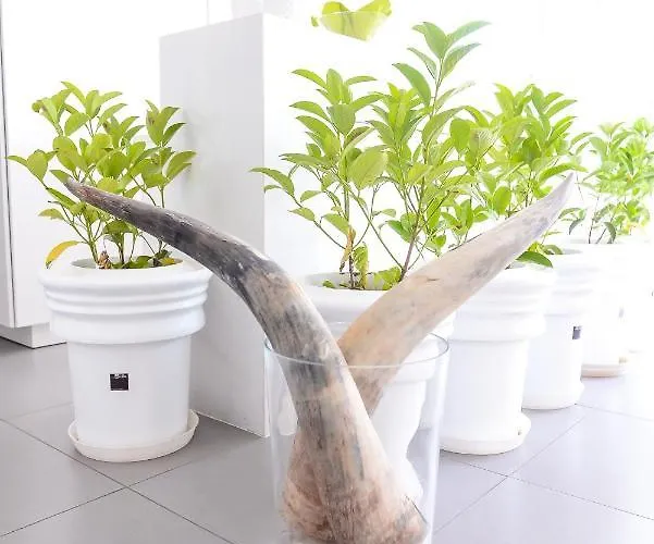 The Silk 4* Paralía